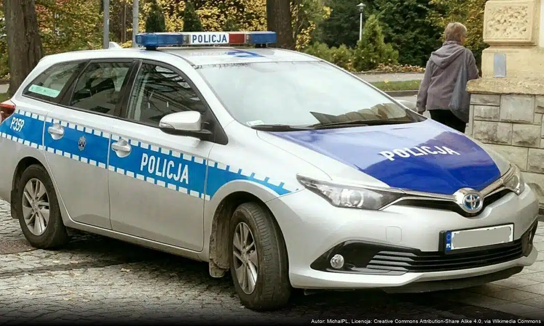 Bezpieczny powrót 7-letniej dziewczynki do matki w Elblągu